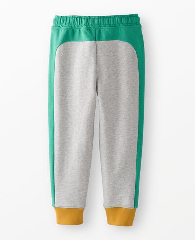 Slim Fit French Terry Colorblock Sweatpants in Fall Colorblock - main
