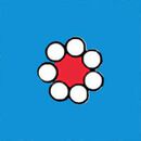 Bow Back Skater Dress with Pockets in Red Flowers on Swedish Sky - swatch