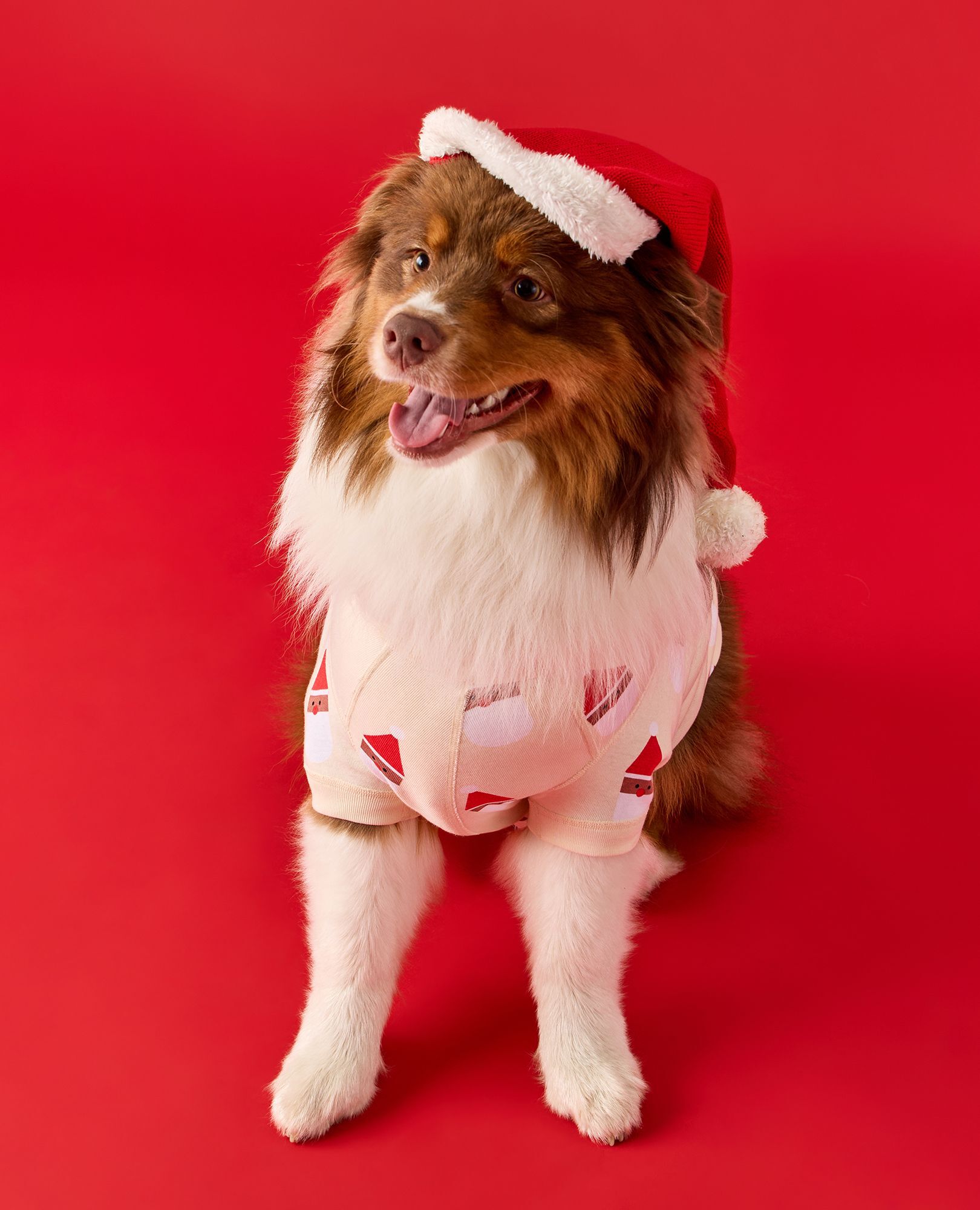 Holiday Dog Pajamas in Scandi Santa on Almond Oil - main