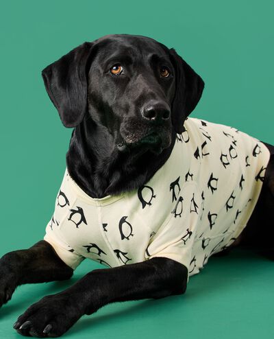 Holiday Dog Pajamas Hanna Andersson