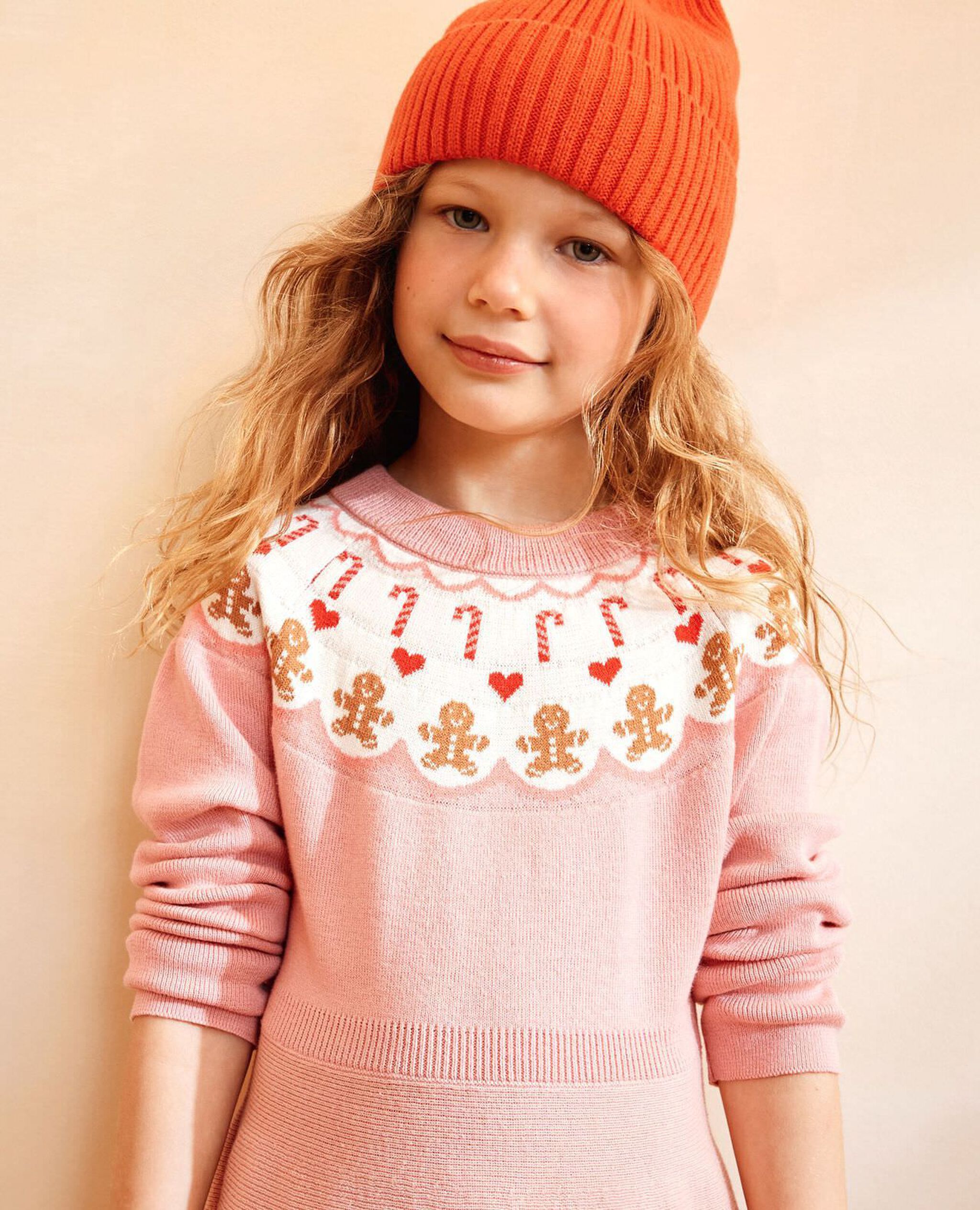 Holiday Fair Isle Sweater Dress in Gingerbread Fair Isle - main