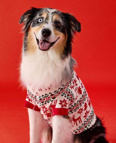 Holiday Dog Pajamas in Dear Deer - main