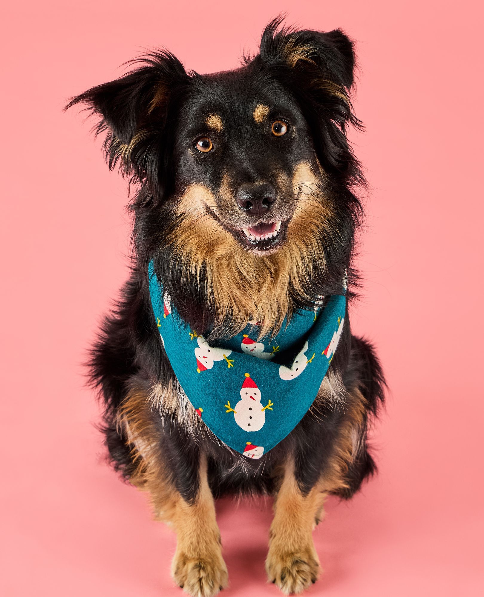 Holiday Flannel Dog Bandana in Frosty Friends - main