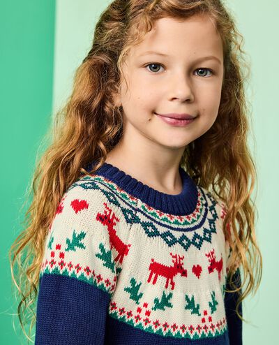 Holiday Dear Deer Sweater Dress in Dear Deer on Navy - main