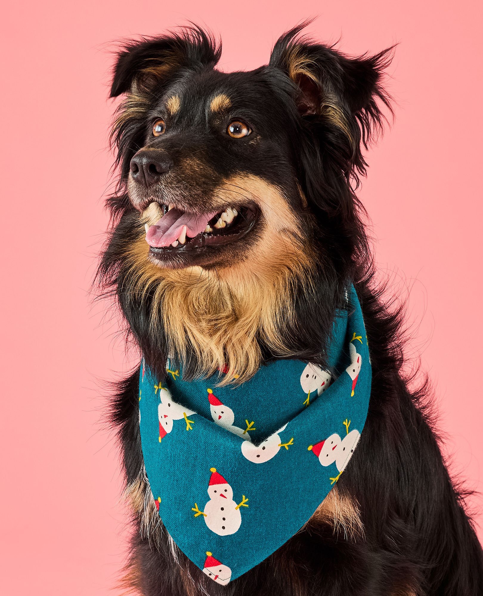 Holiday Flannel Dog Bandana in Frosty Friends - main