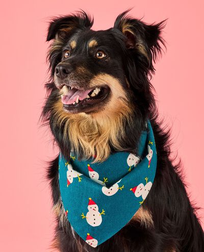 Holiday Flannel Dog Bandana in Frosty Friends - main