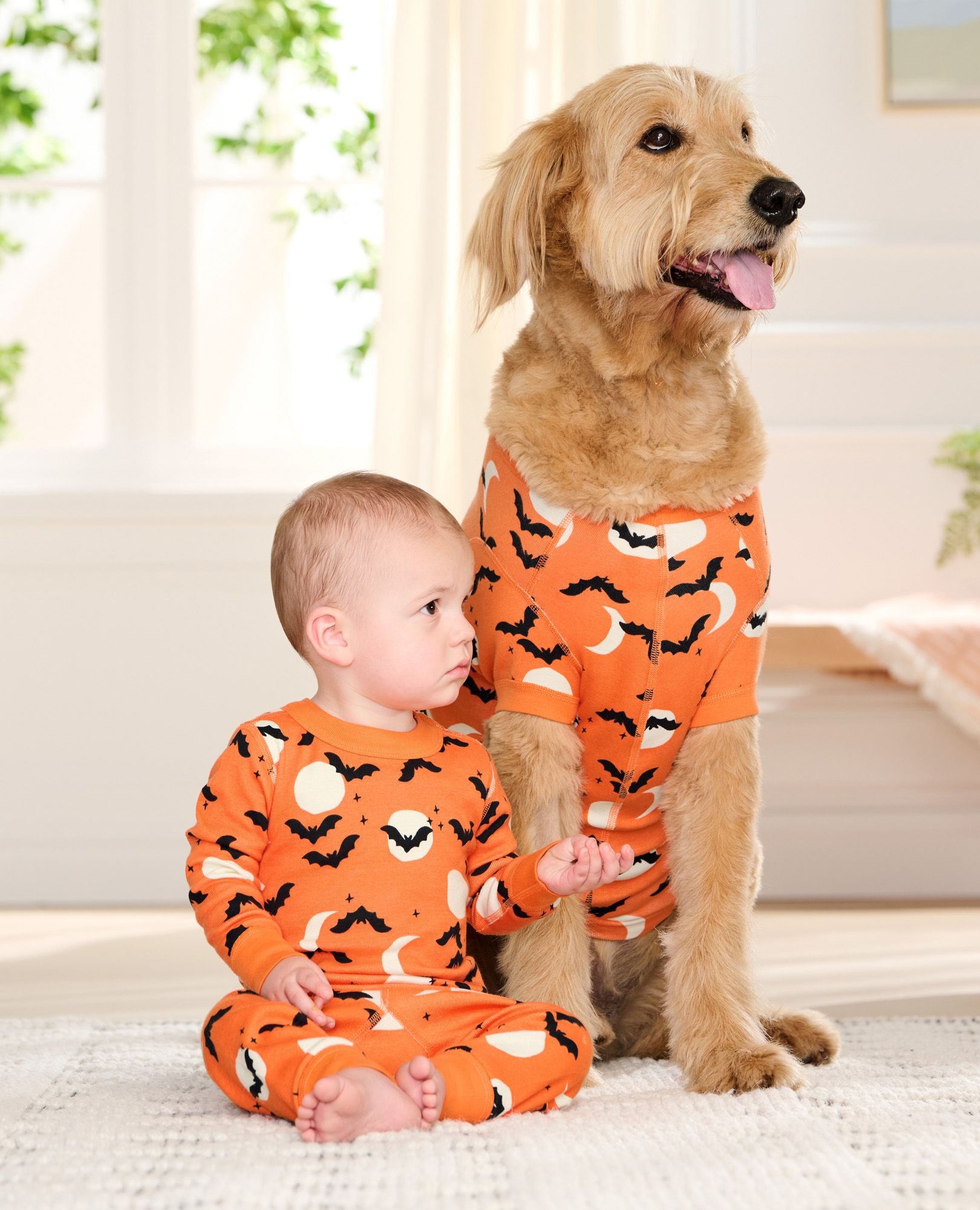 Golden retriever pajamas for dogs online
