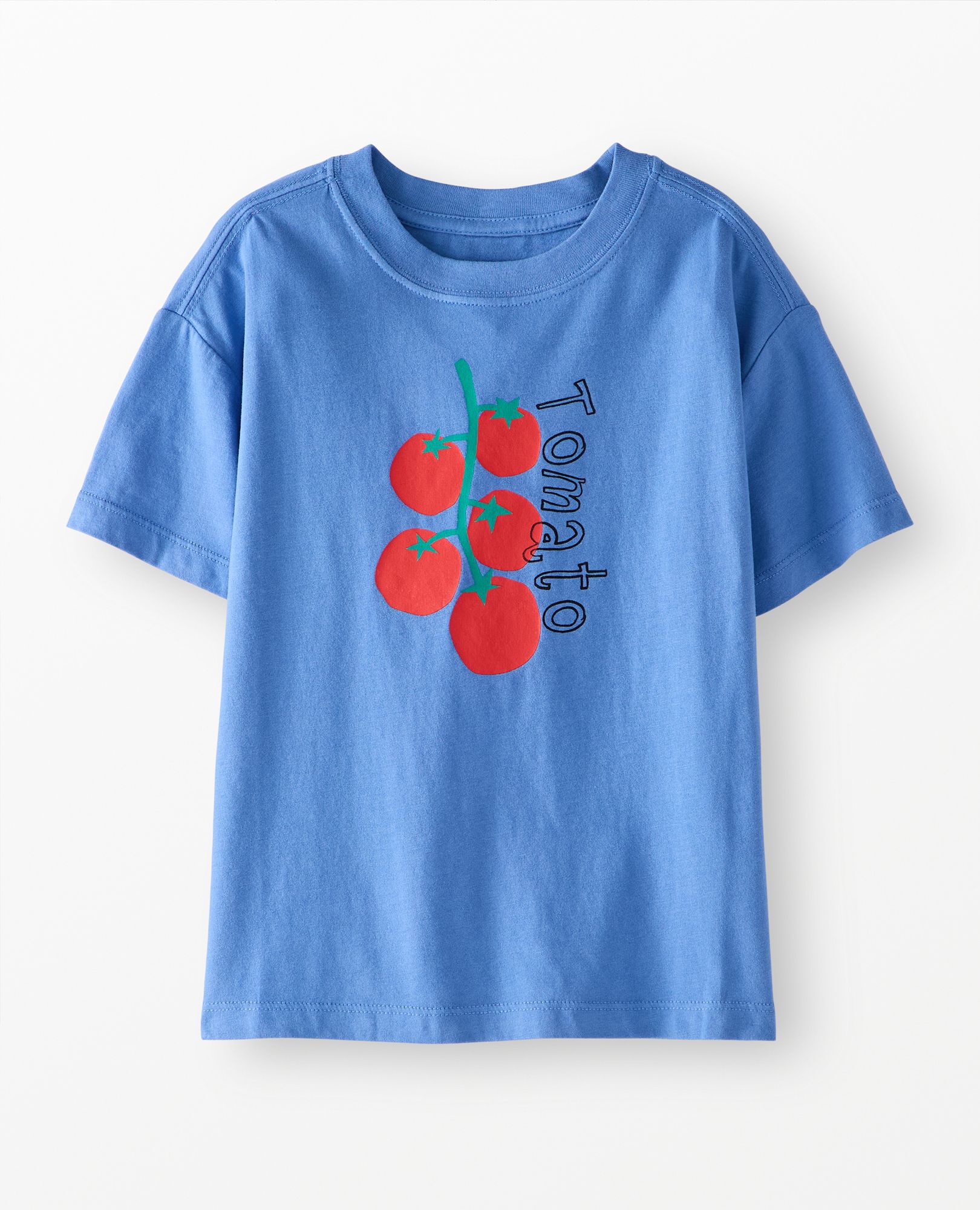 Relaxed Fit Graphic T-Shirt in Tomato on Horizon Blue - main
