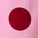 Women's Dusen Dusen Long Sleeve Poplin Pajama Set in Frosting Pink/Red Dahlia Dots - swatch