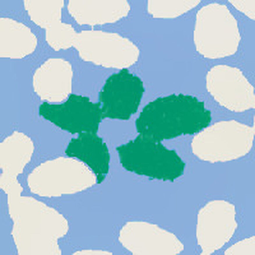 Mini Ecru Flowers on Blue