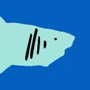 Baby Rashguard Swimsuit in Neon Sharks - swatch