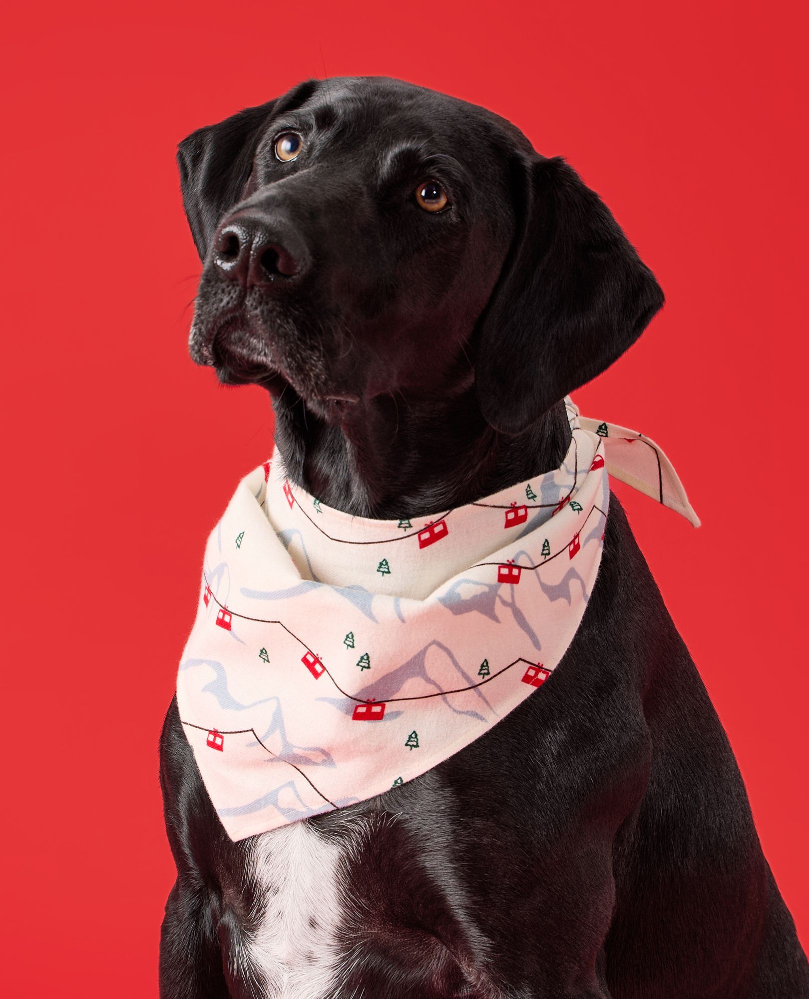 Flannel Dog Bandana in Gondolas - main