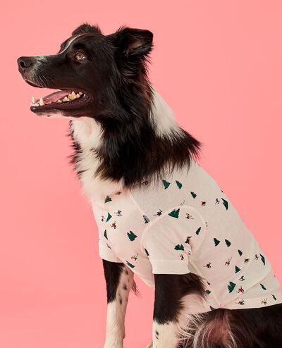 Holiday Dog Pajamas in Glade Skiing - main