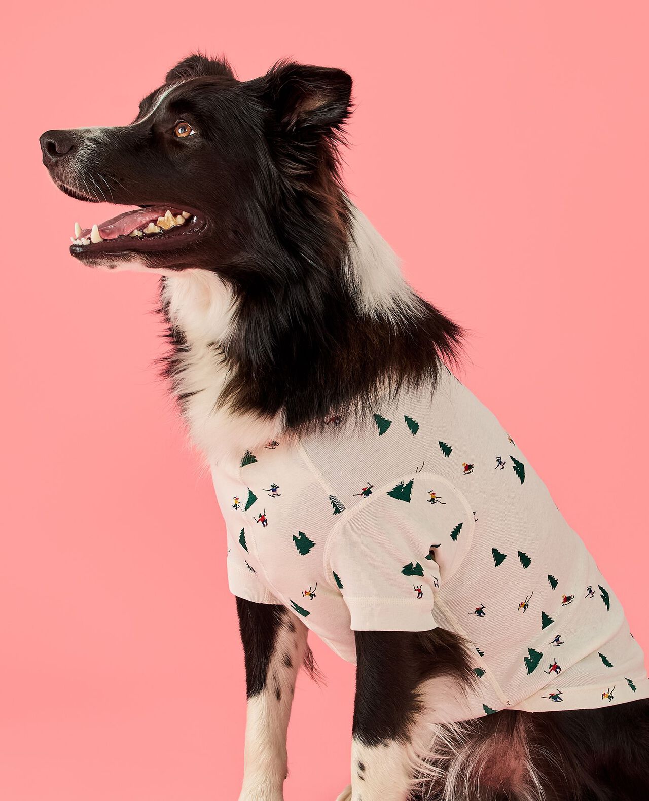 Holiday Dog Pajamas in Glade Skiing - main