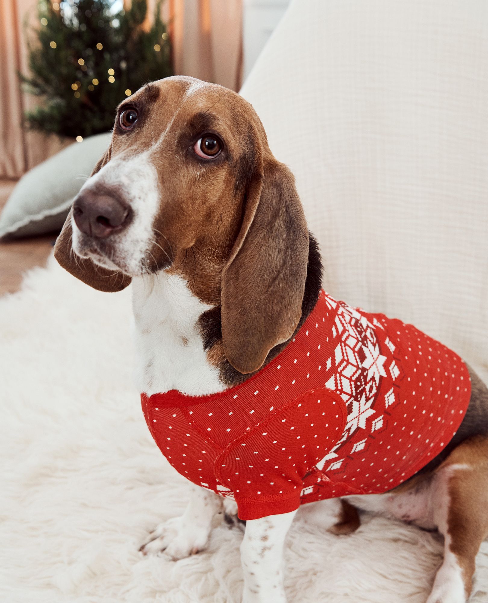Holiday Dog Pajamas
