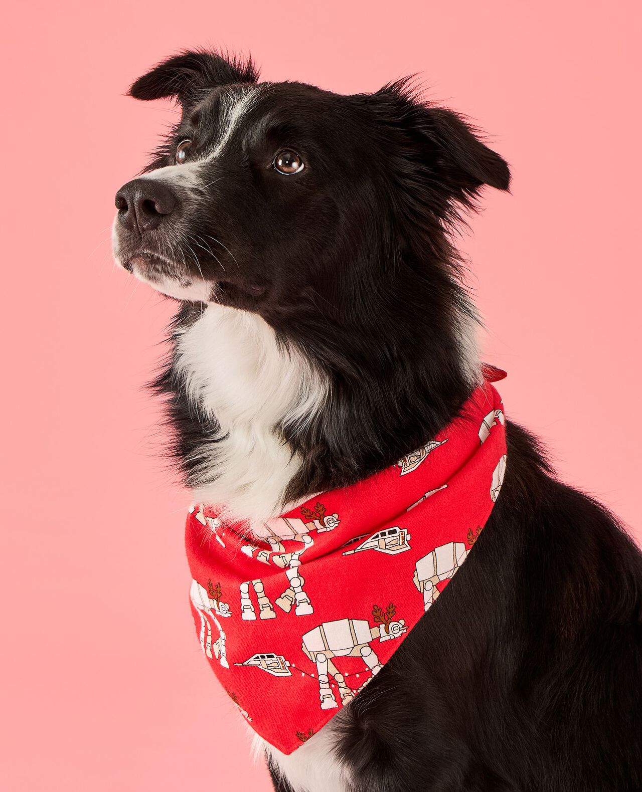 STAR WARS™ Holiday Flannel Dog Bandana in Star Wars AT-AT Walker - main