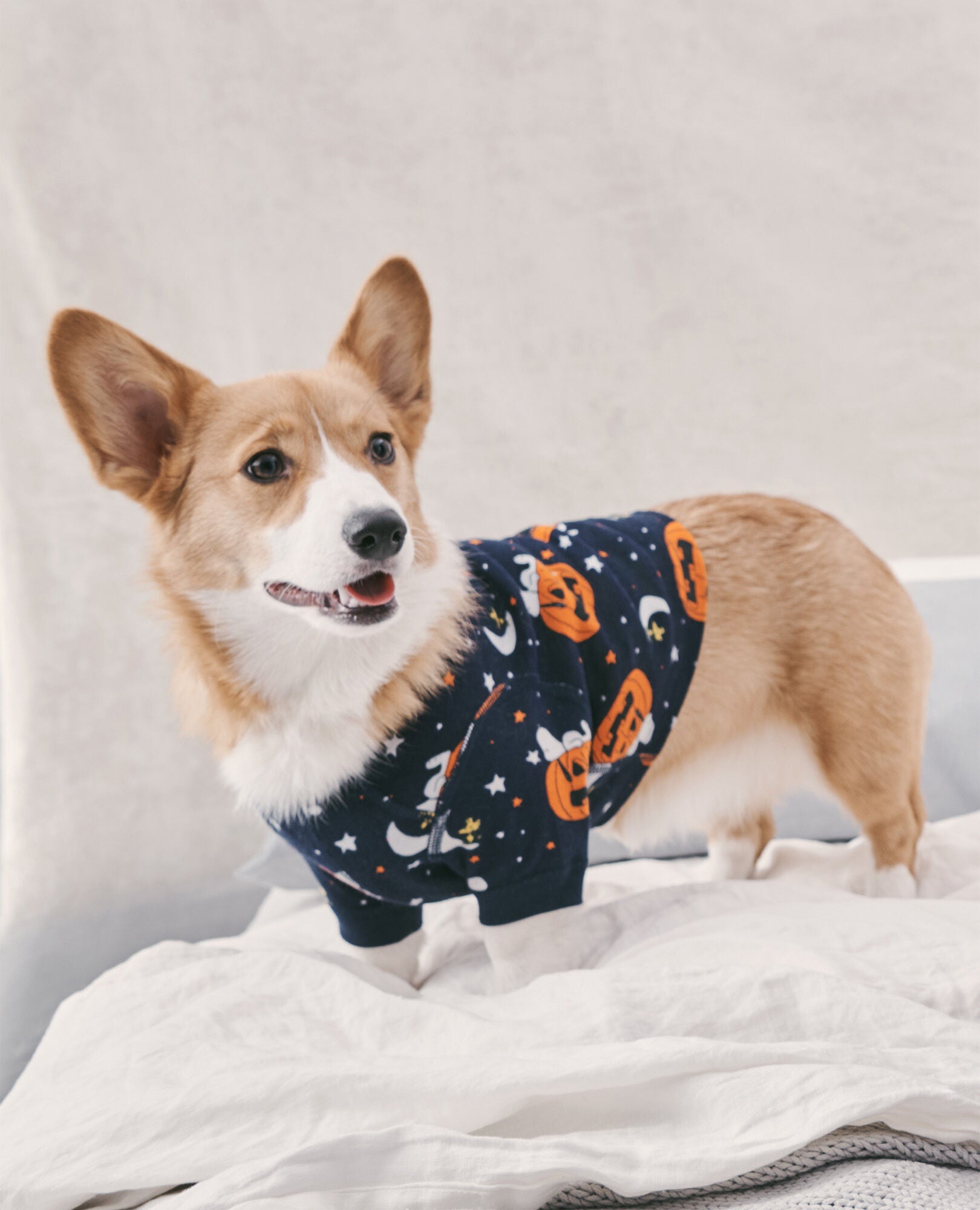 Boys halloween pajamas cheap