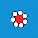 Women's Short Sleeve HannaSoft™ Pajama Set in Red Flowers on Swedish Sky - swatch