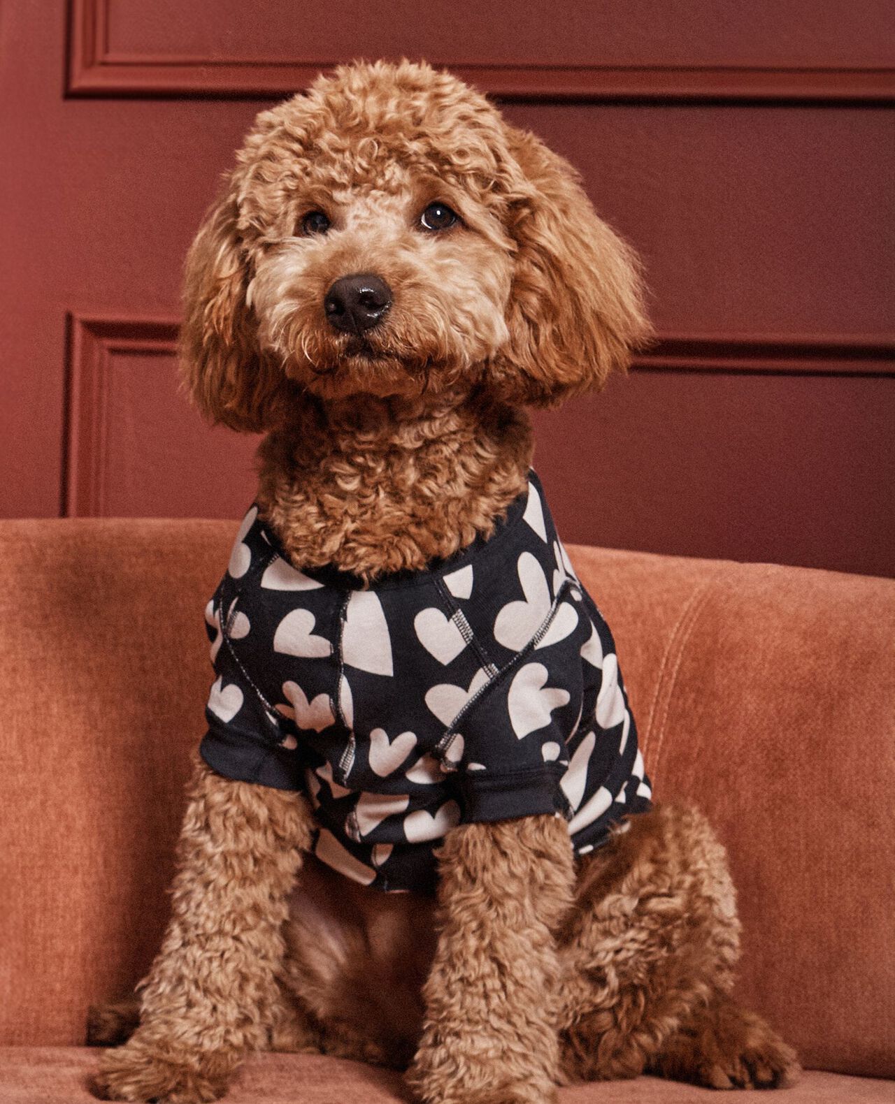 Dog Pajamas Hanna Andersson - Main Image