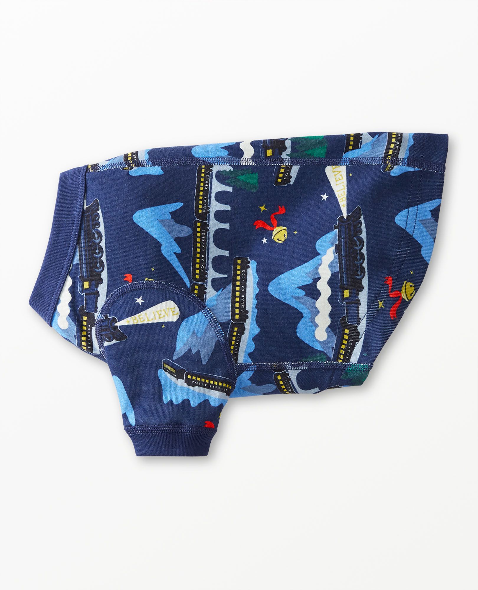 Warner Bros Discovery The Polar Express Dog Pajamas