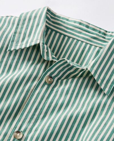 Relaxed Fit Poplin Button Up Shirt in Fir Tree/Ecru - main