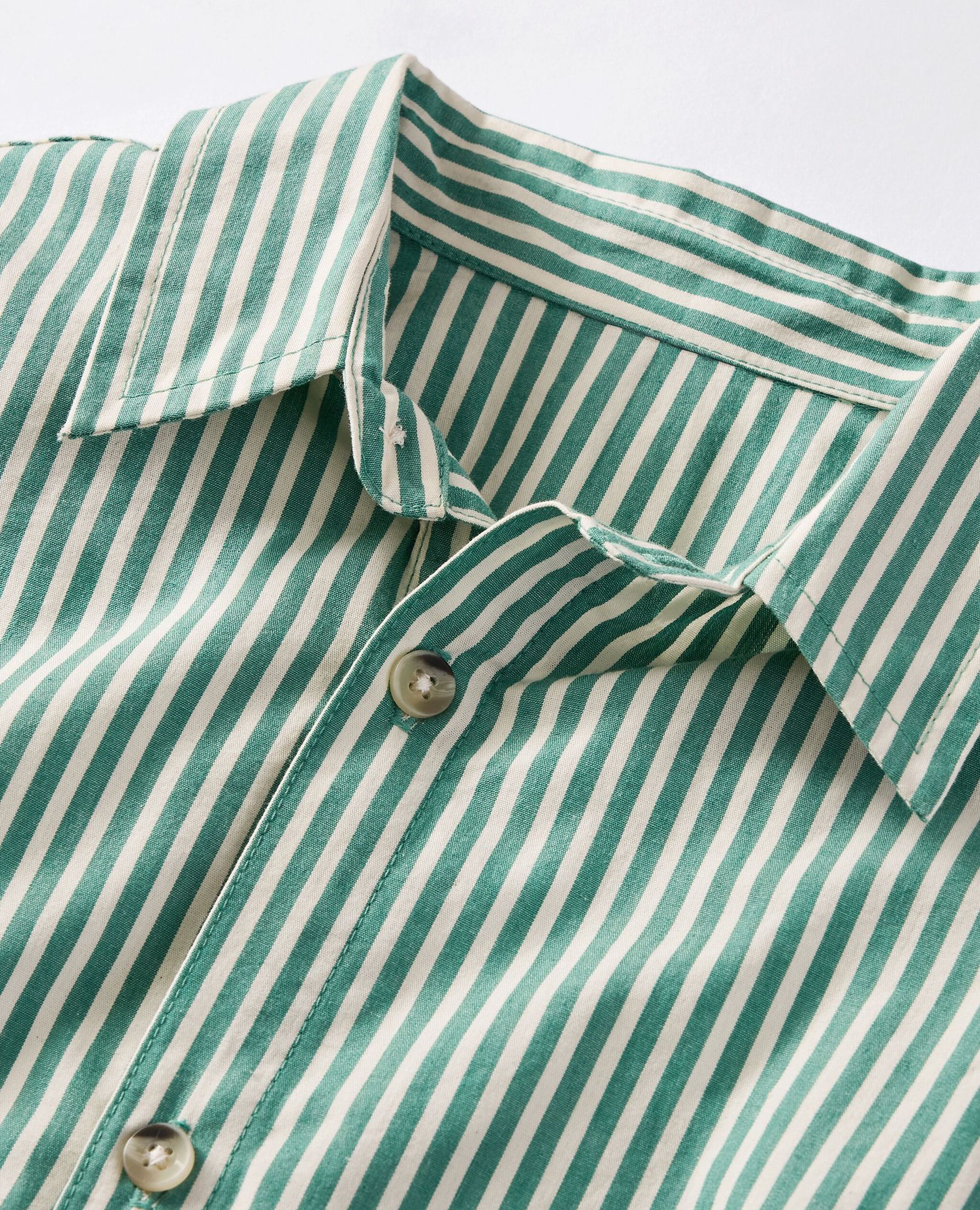 Relaxed Fit Poplin Button Up Shirt in Fir Tree/Ecru - main