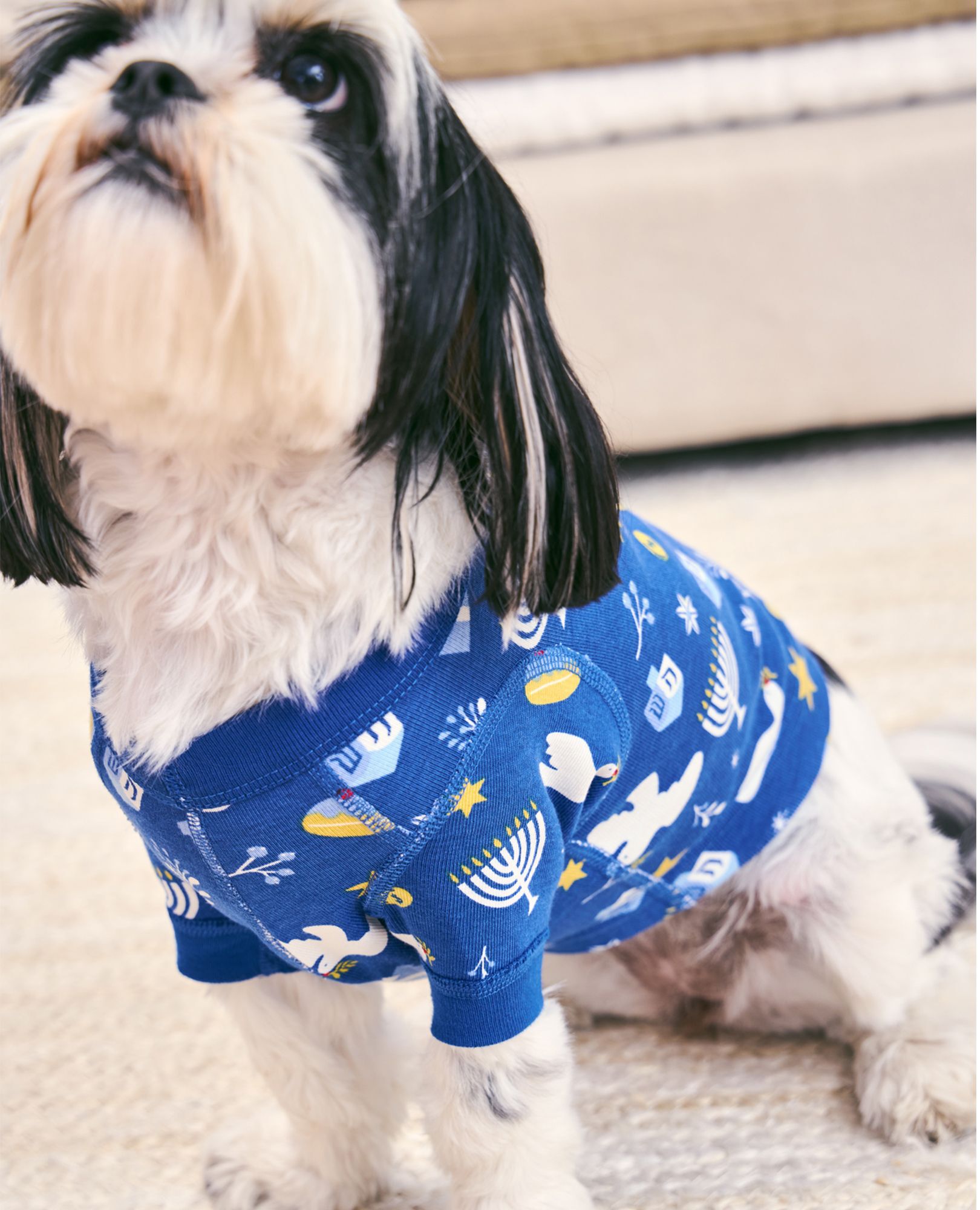 Holiday Dog Pajamas