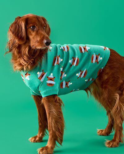 Holiday Dog Pajamas in Fresh Catch on Bottle Green - main