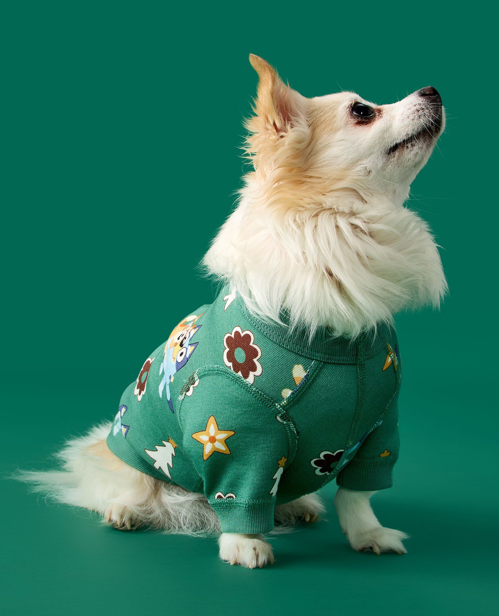 Bluey Holiday Dog Pajamas in Bluey Hugs and Cookies on Green - main