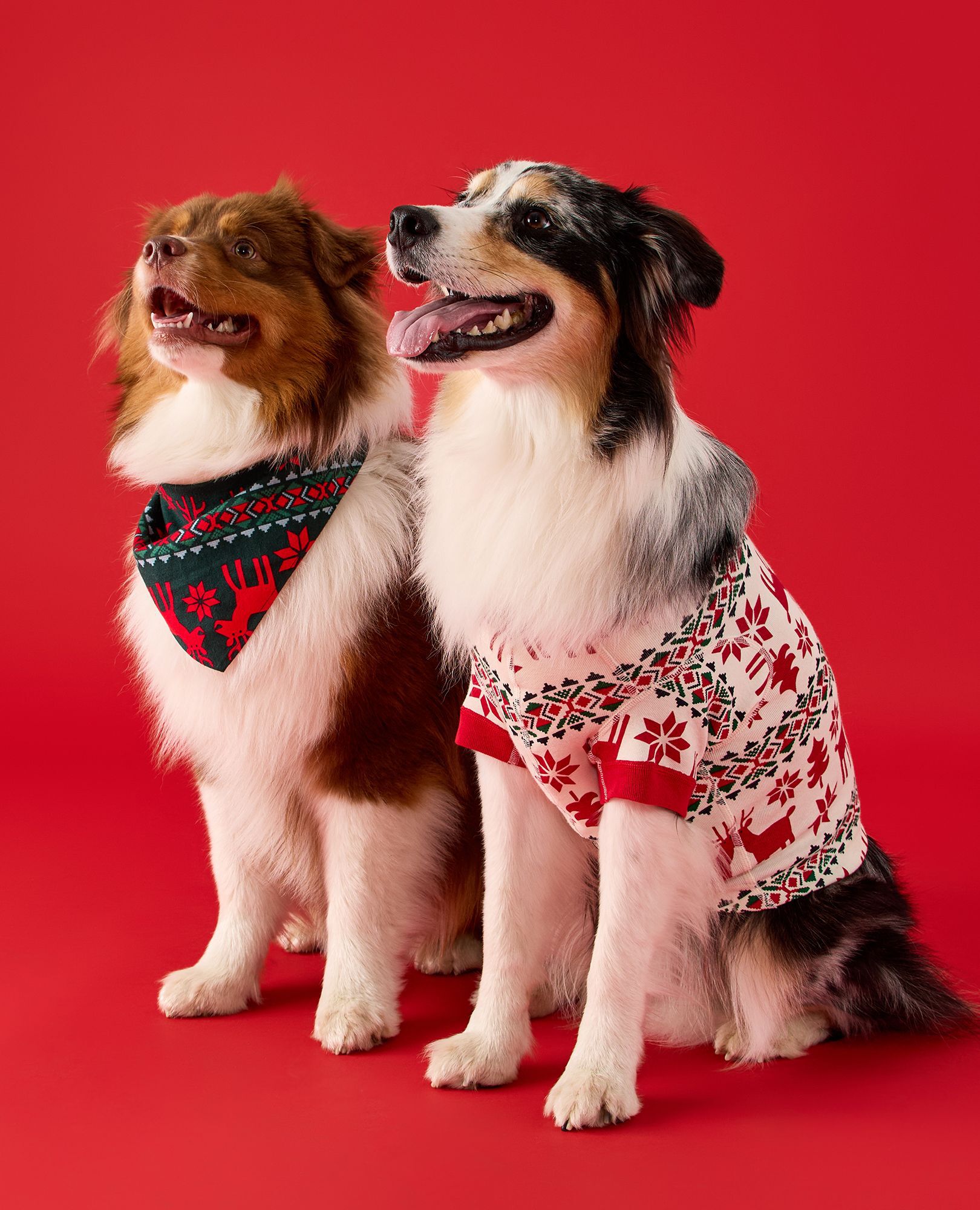 Holiday Dog Pajamas in Dear Deer - main
