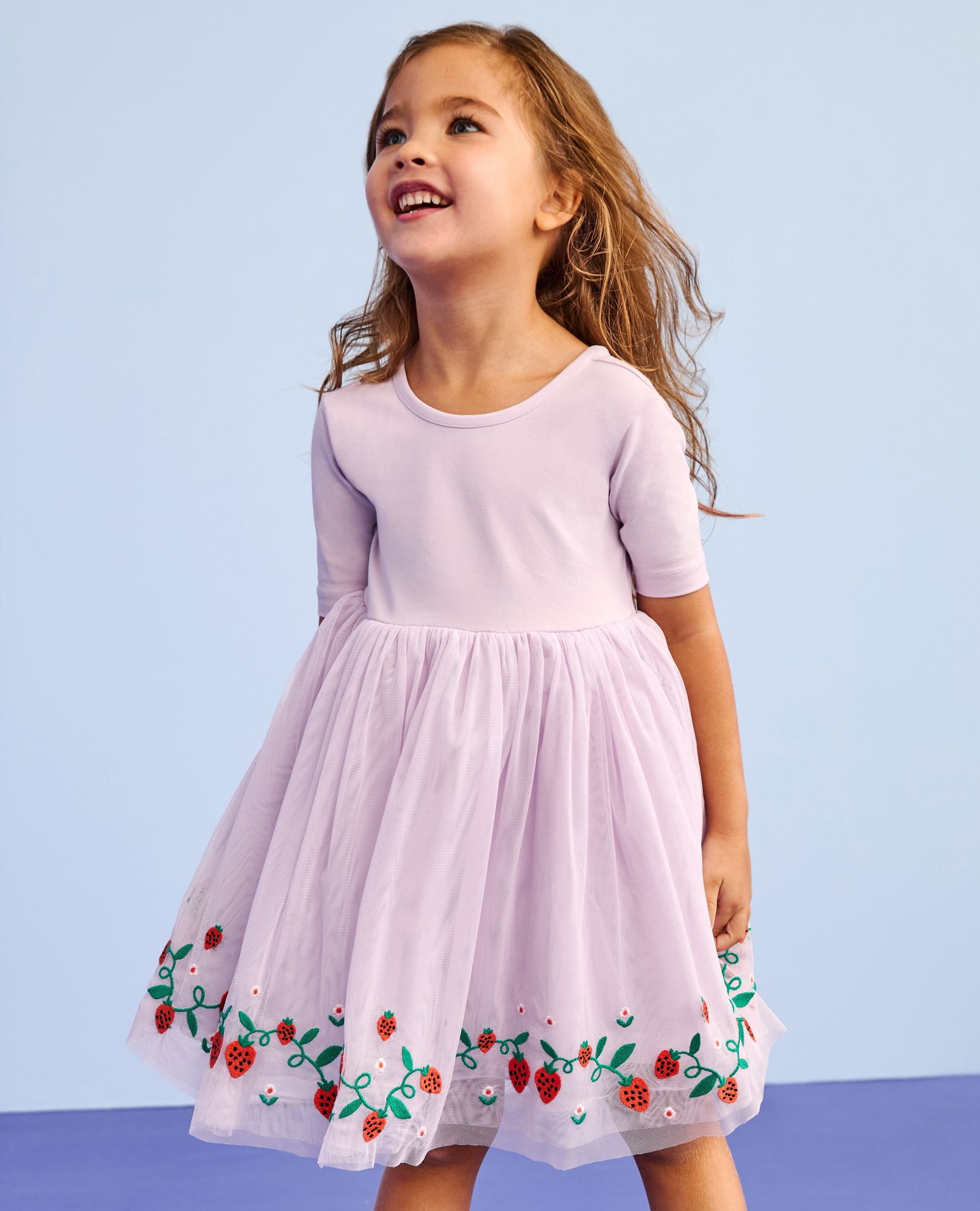 Tulle Embroidered Skater Dress in Strawberries on Orchid Hush - main