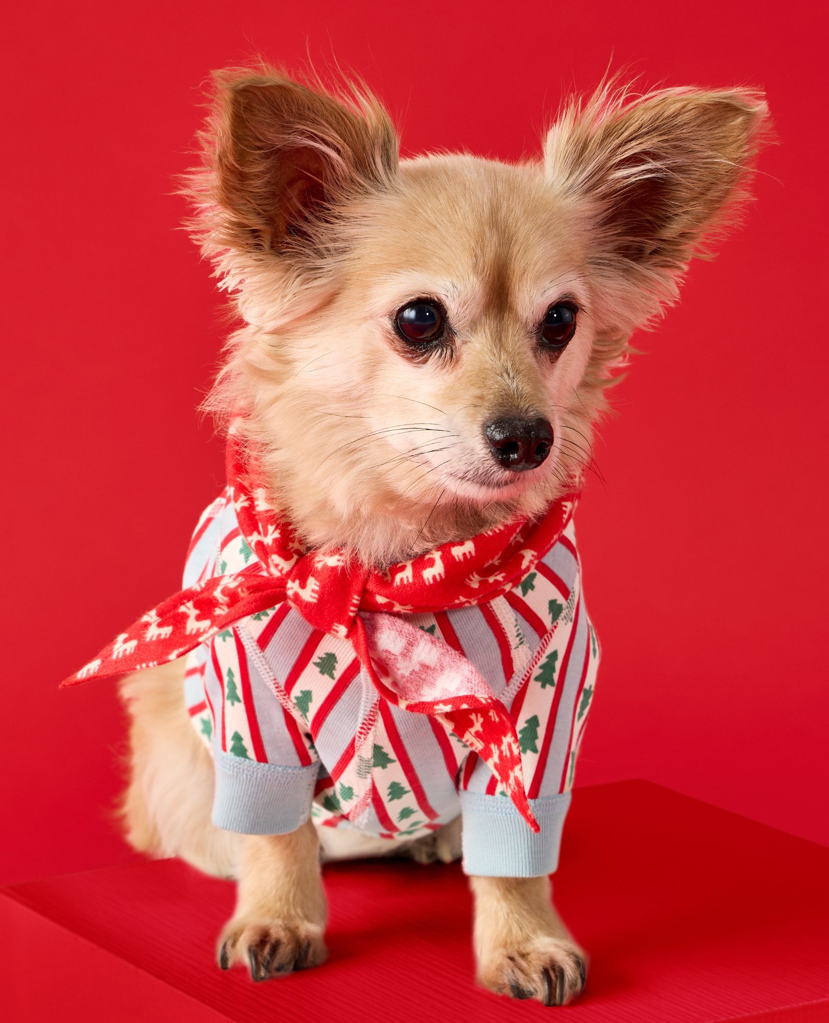 Flannel Dog Bandana in Flying Dear Deer - main