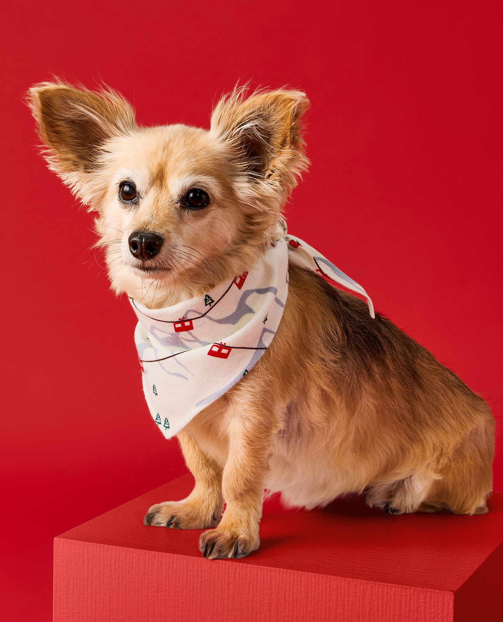 Flannel Dog Bandana in Gondolas - main