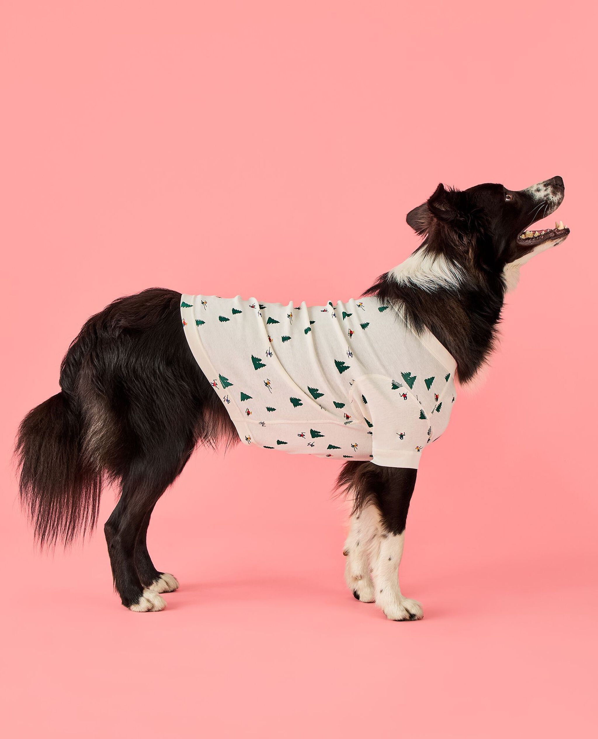 Holiday Dog Pajamas in Glade Skiing - main