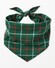 Green Windowpane Plaid