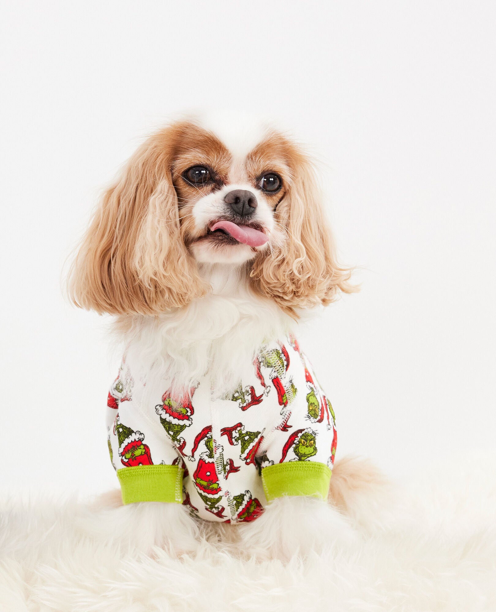 Dr. Seuss Grinch Dog Pajamas