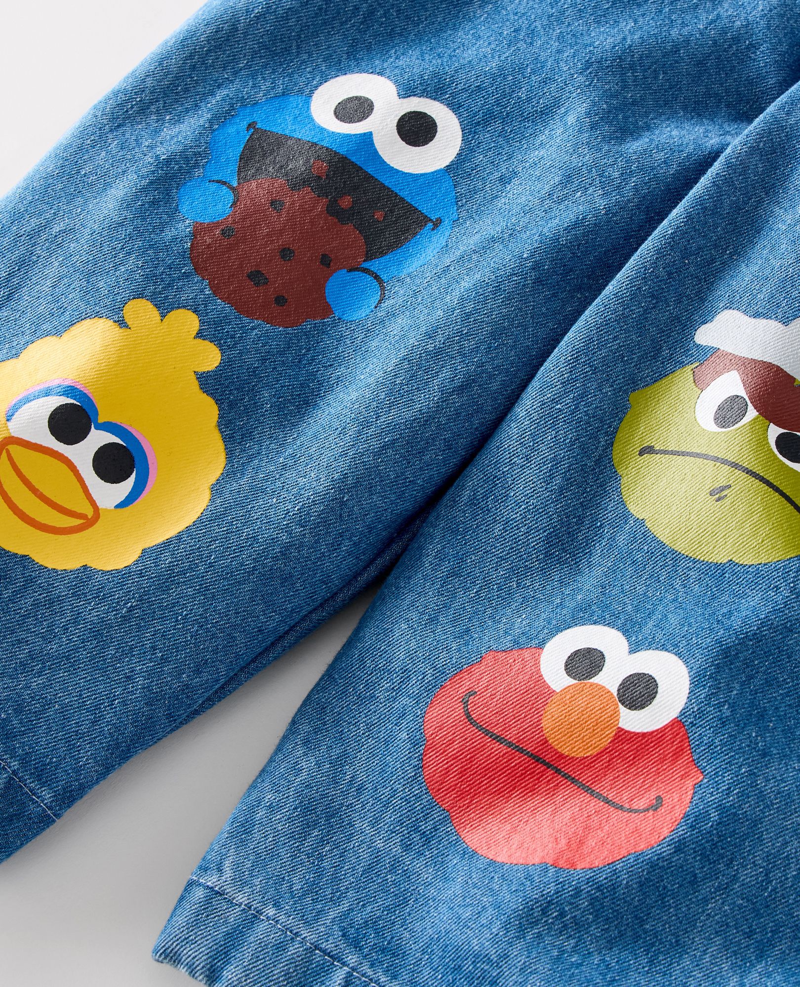 Sesame Street Denim Barrel Pants in Sesame Street Characters - main