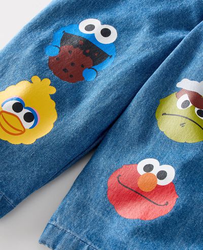 Sesame Street Denim Barrel Pants in Sesame Street Characters - main