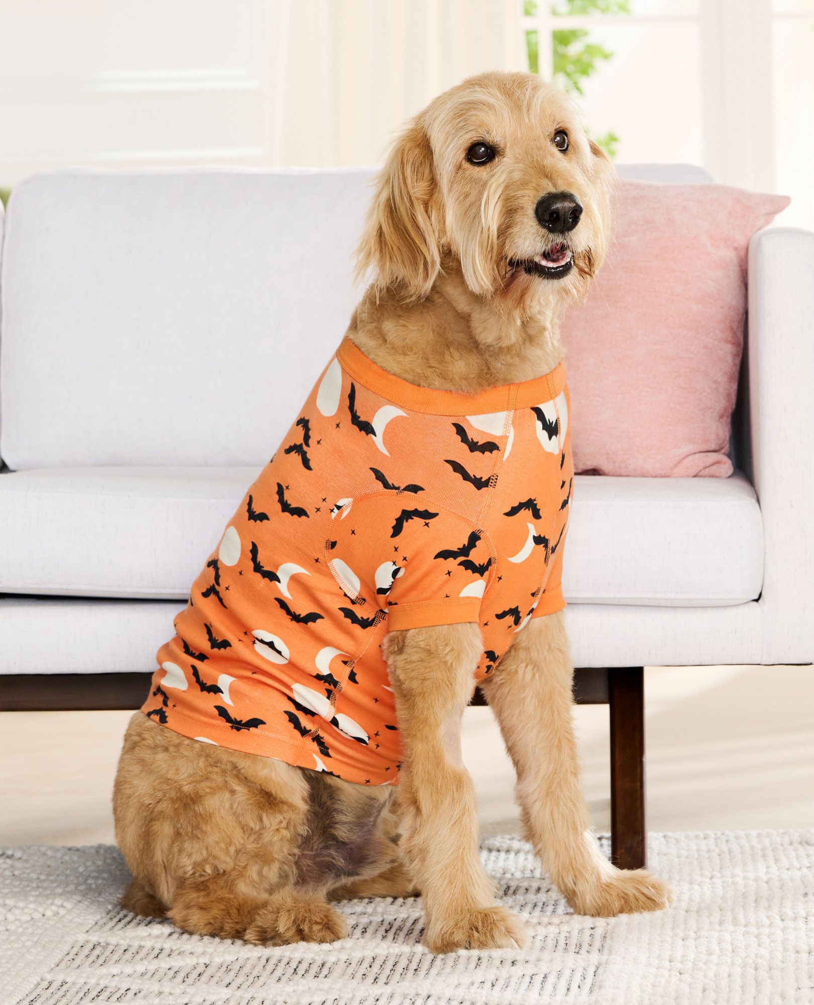 Hanna andersson dog 2025 pajamas