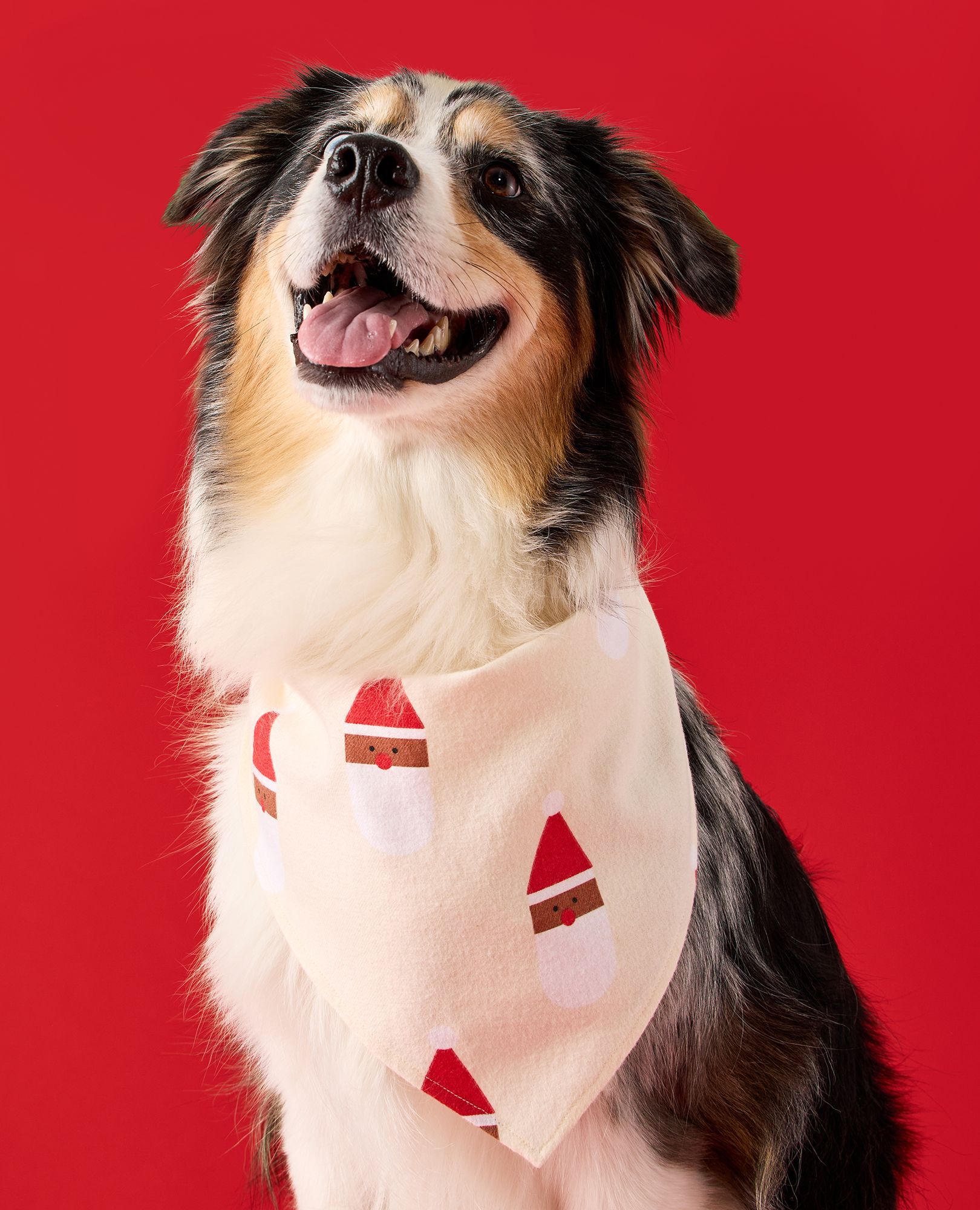 Flannel Dog Bandana in Scandi Santa on Almond Oil - main