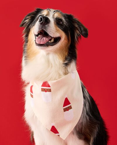 Flannel Dog Bandana in Scandi Santa on Almond Oil - main
