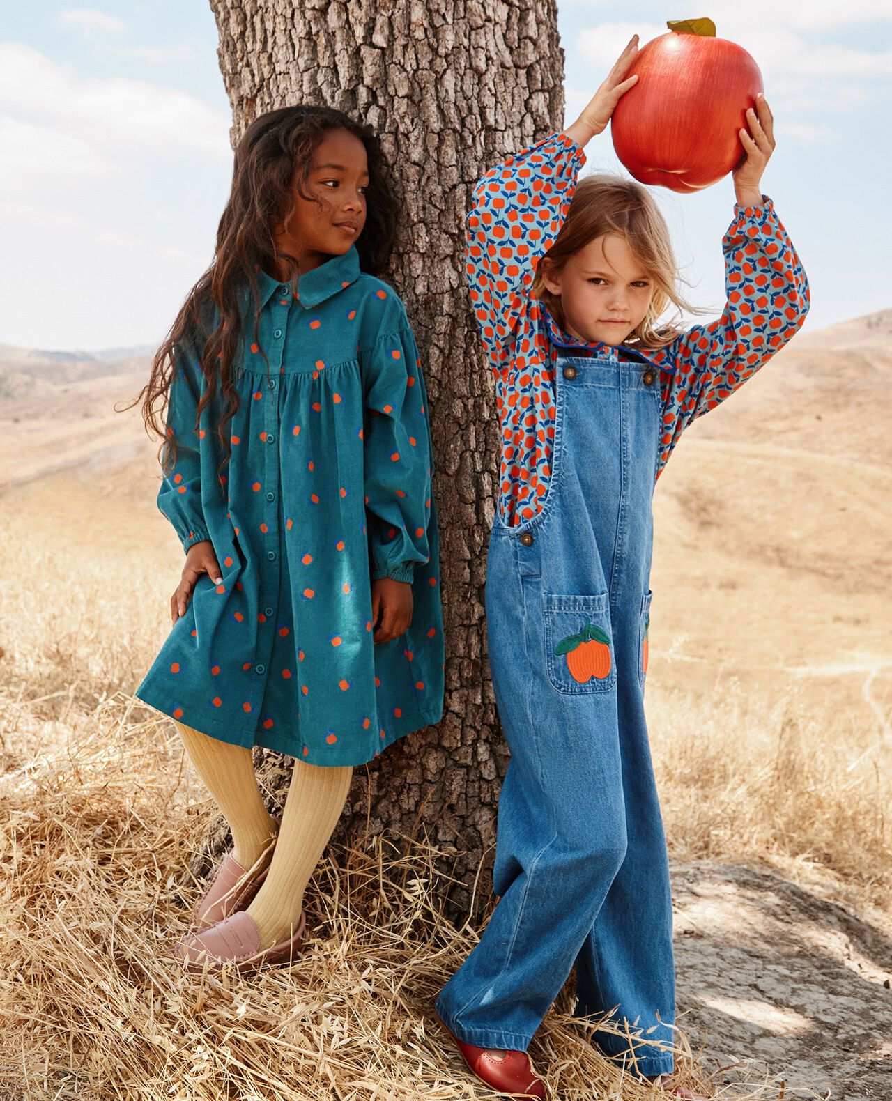 Long-Sleeve Collared Twill Top in Red Apples on Cameo Blue - main
