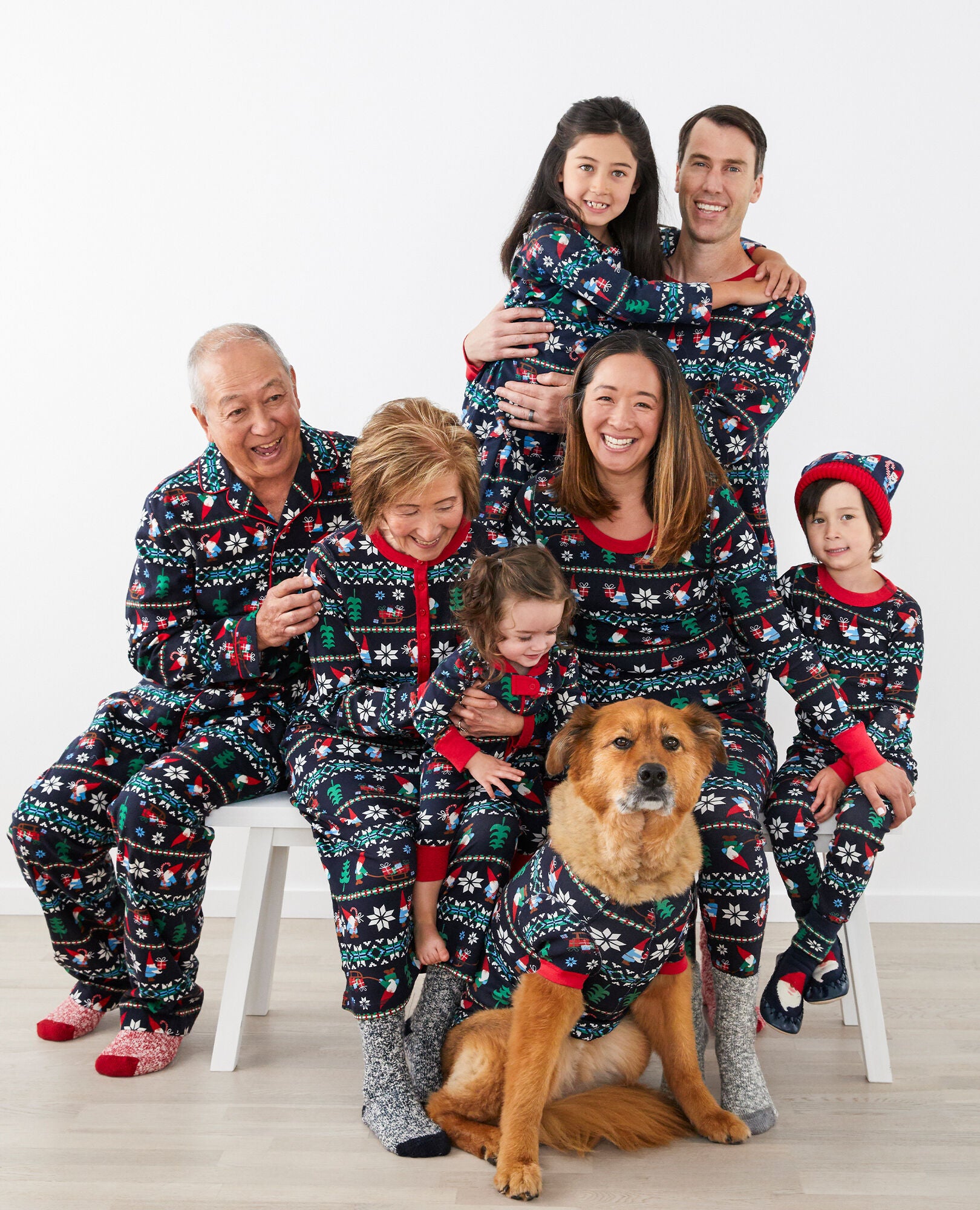 Dog Pajamas Hanna Andersson