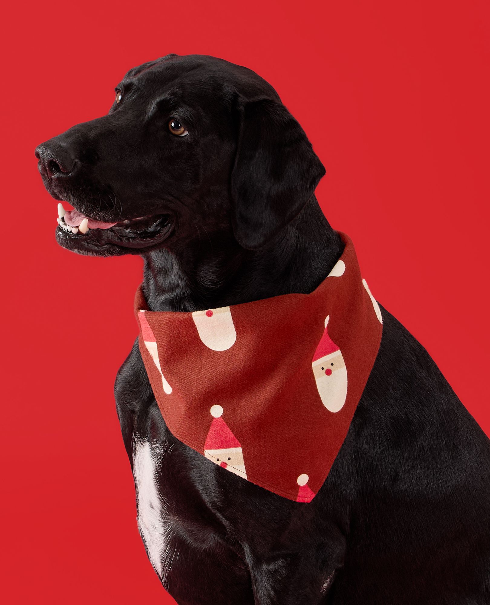 Flannel Dog Bandana in Scandi Santa on Cocoa Brown - main