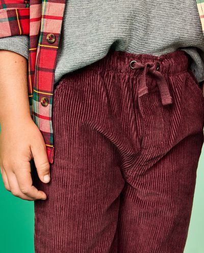 Corduroy Pull-On Pants in Eggplant - main