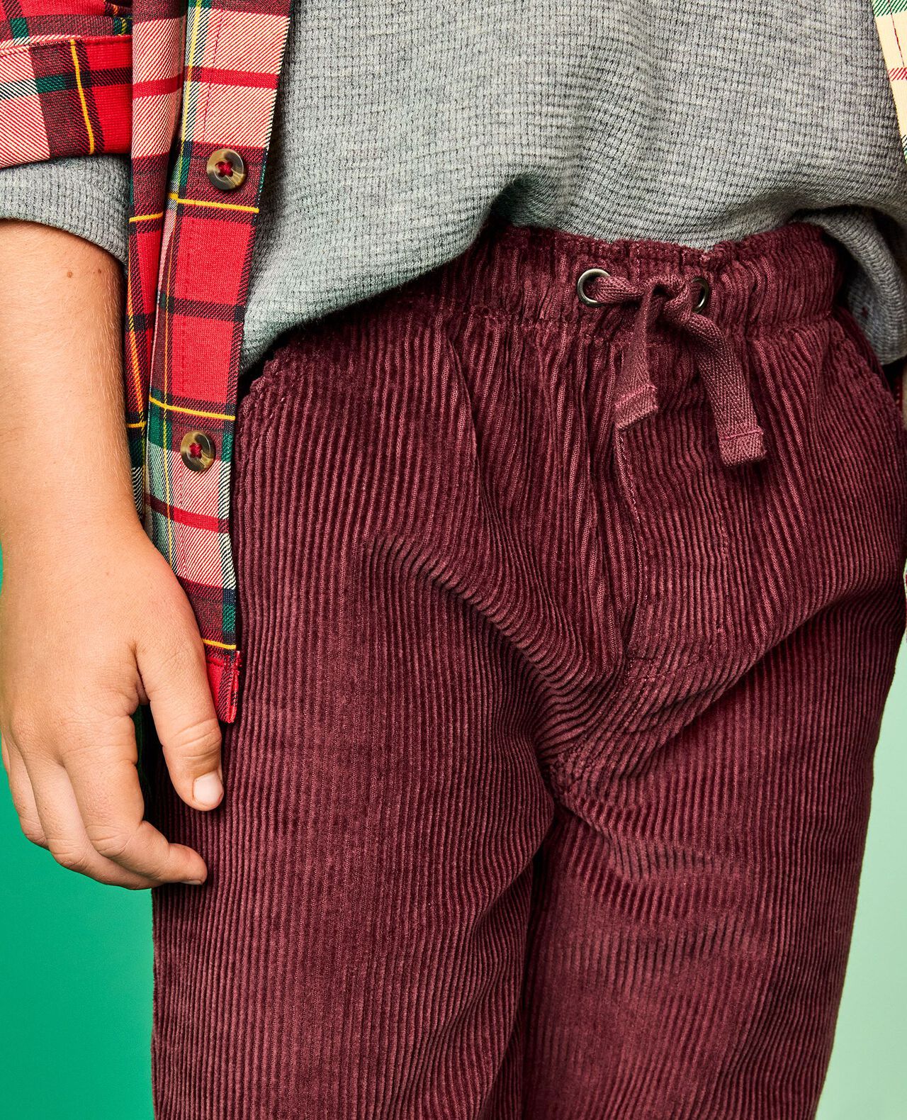 Corduroy Pull-On Pants in Eggplant - main