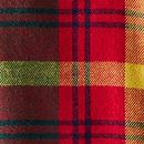 Flannel Button Up Shirt in Multi Plaid - swatch
