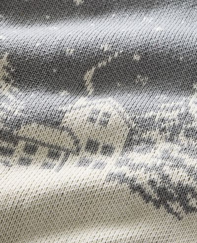 Holiday Sweater in Cozy Cabin - main
