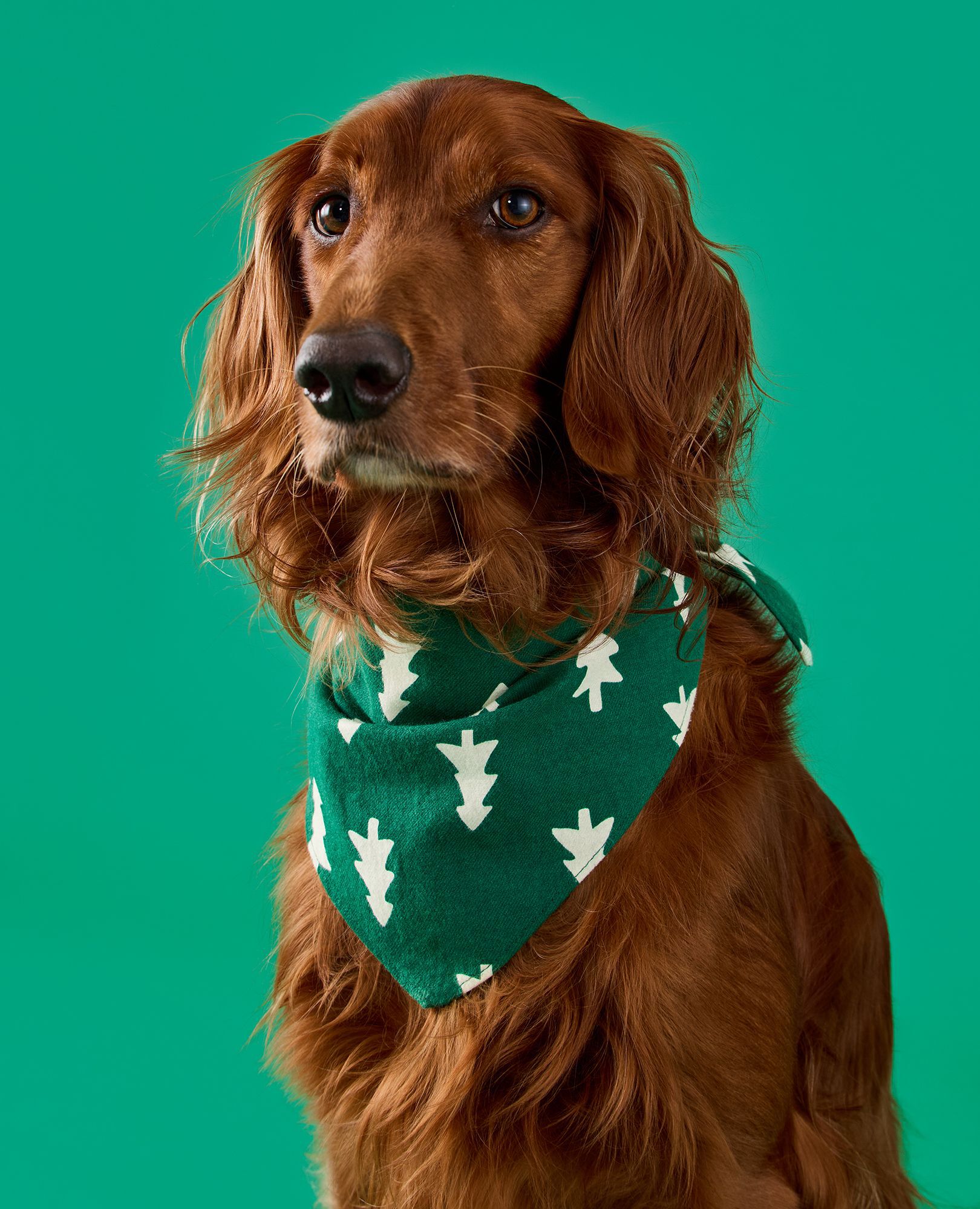 Flannel Dog Bandana in Happy Trees on Green - main