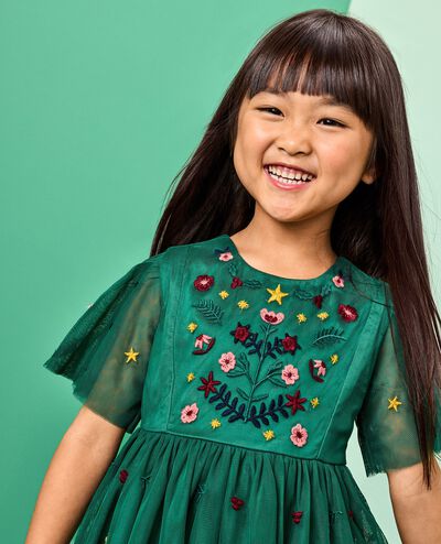 Holiday Tulle Embroidered Dress in Holiday Floral Embroidery - main